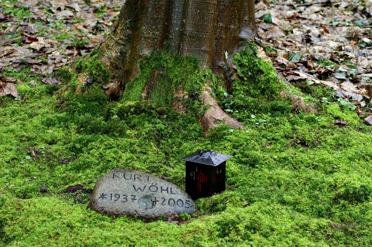 The Growing Demand for Eco-Friendly Cremation Urns in Green Funerals